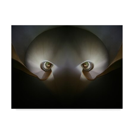 Trademark Fine Art Holger Droste 'Octopus In The Dark' Canvas Art, 24x32 1X05125-C2432GG